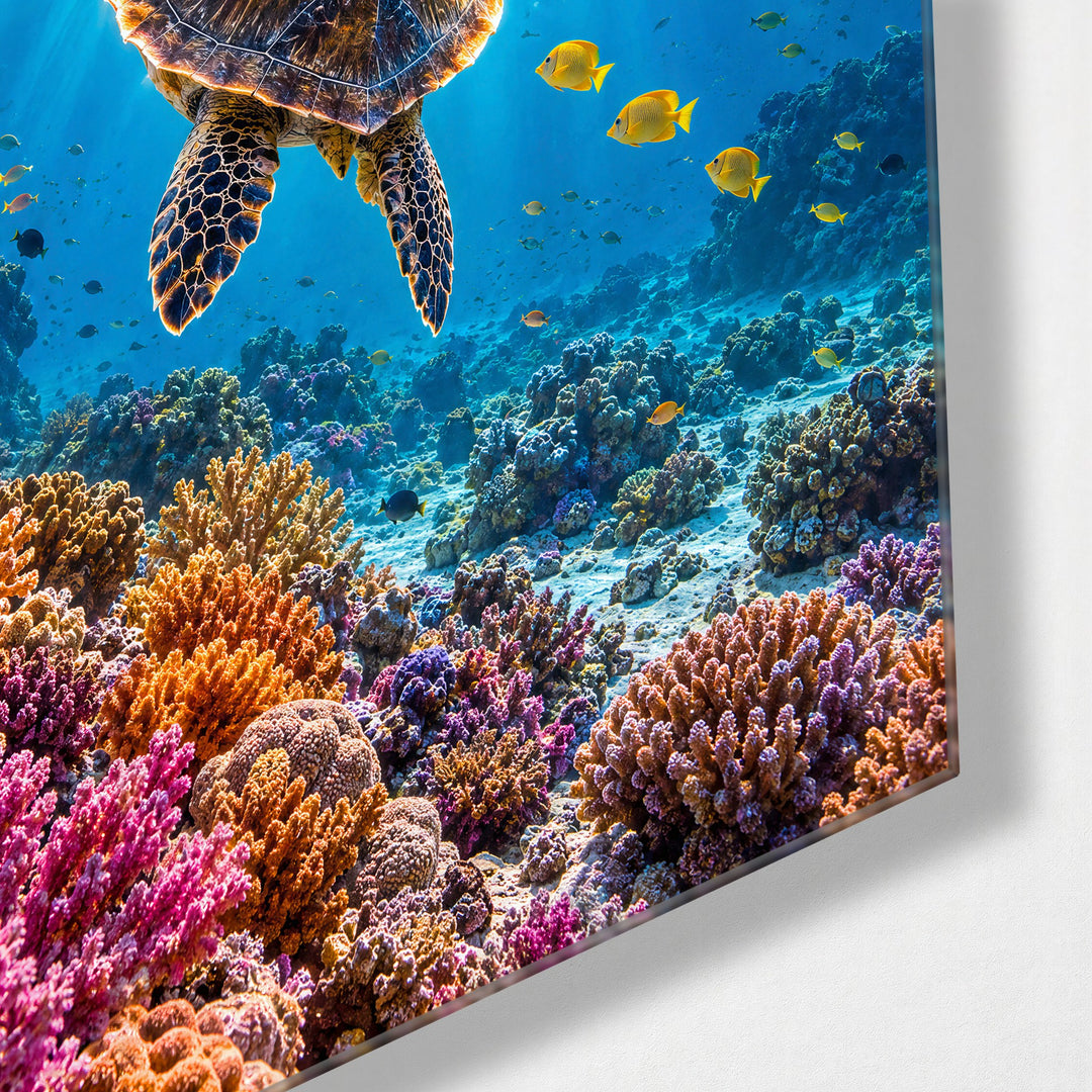 Reef, Then Upward glass wall art, corner view