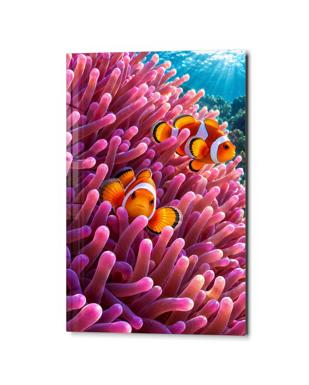 Orange Pair in Pink Arms glass wall art, studio view