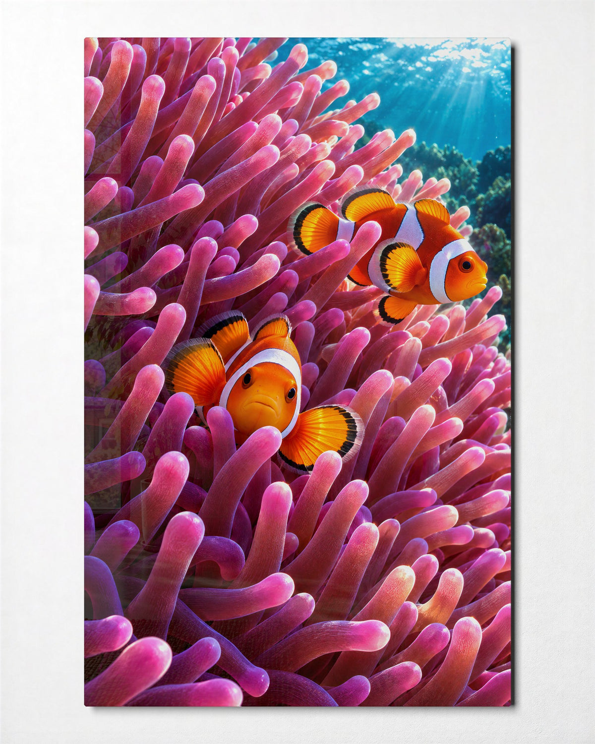 Orange Pair in Pink Arms glass wall art, front view