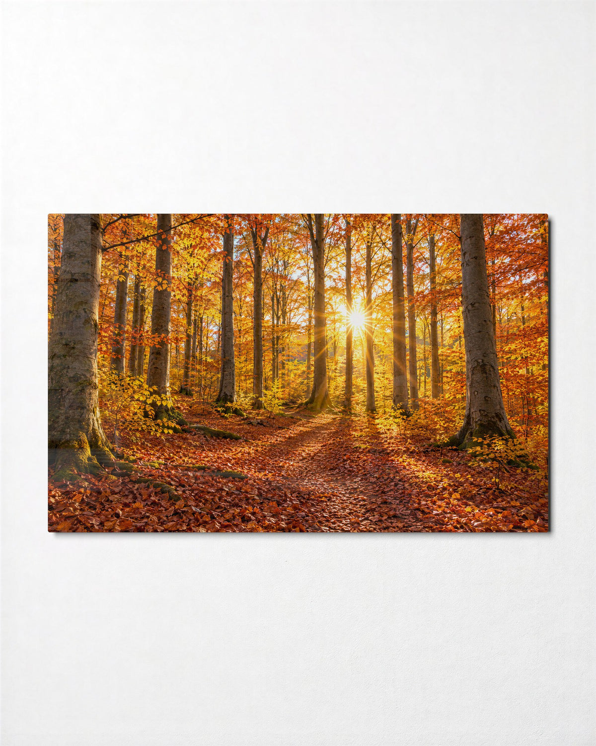 Gold Leaves Underfoot glass wall art, front view