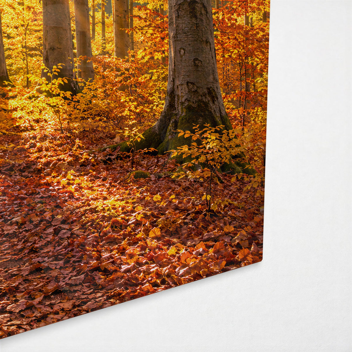 Gold Leaves Underfoot glass wall art, corner view