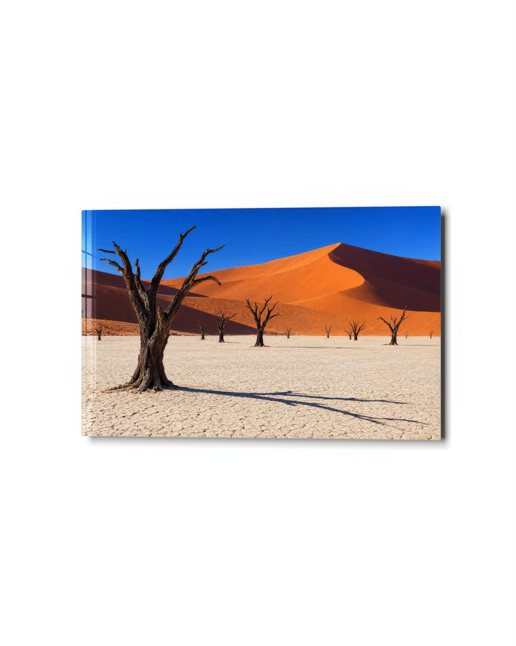 Bare Trees, Giant Dune glass wall art, studio view