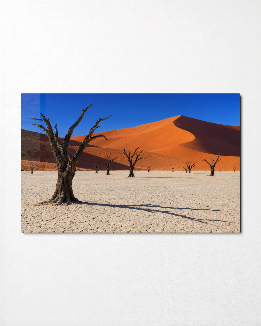 Bare Trees, Giant Dune glass wall art, front view
