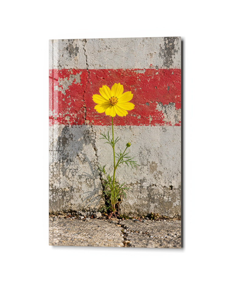 One Tough Bloom glass wall art, studio view