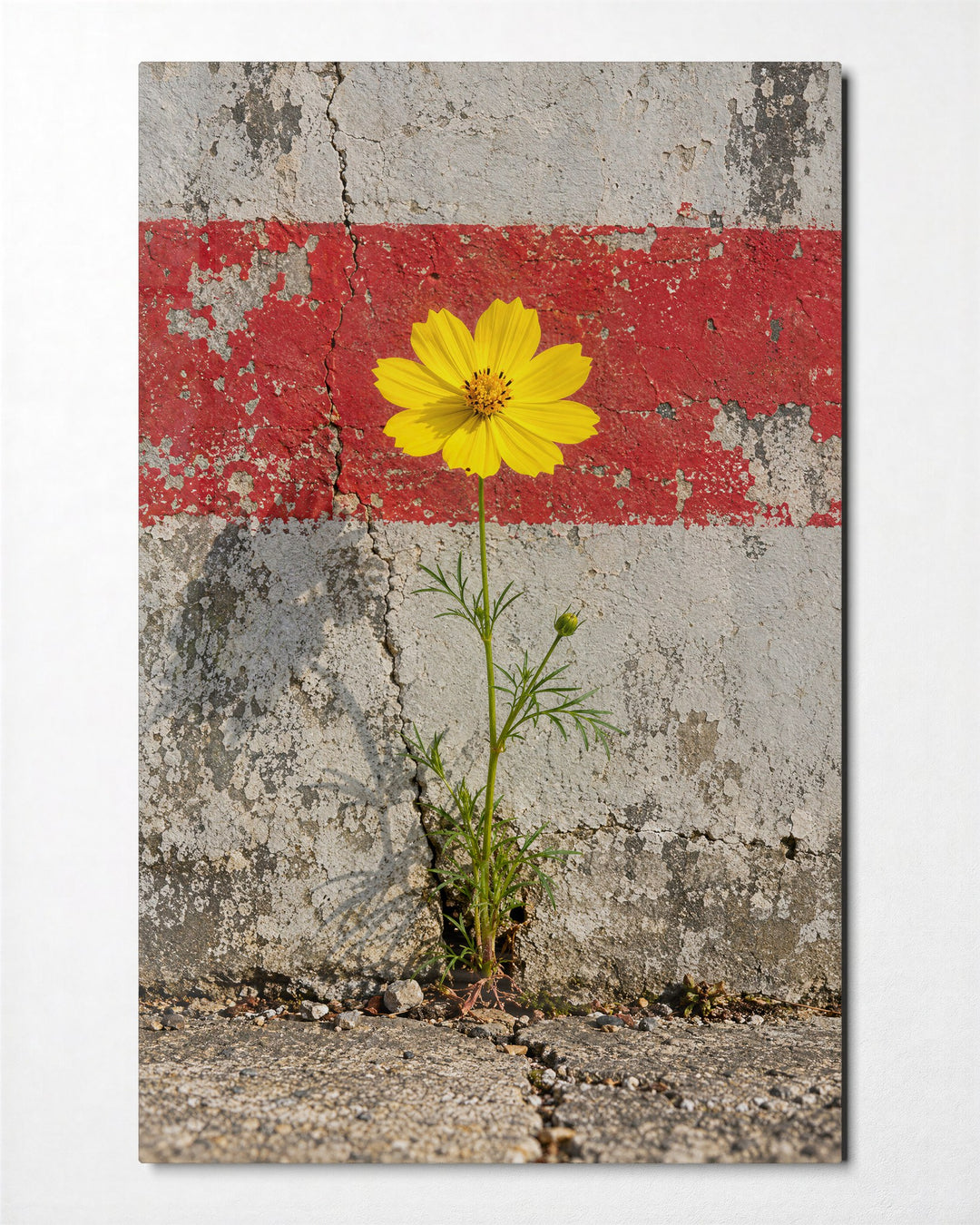 One Tough Bloom glass wall art, front view