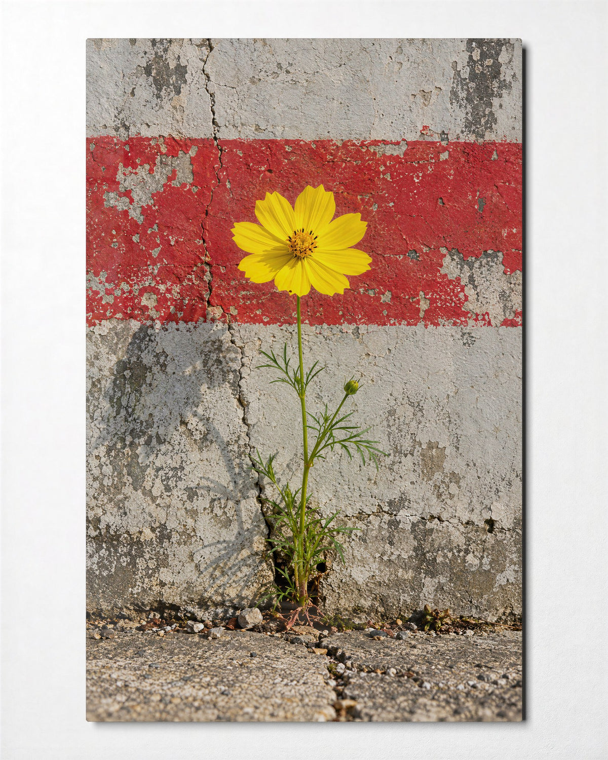 One Tough Bloom glass wall art, front view