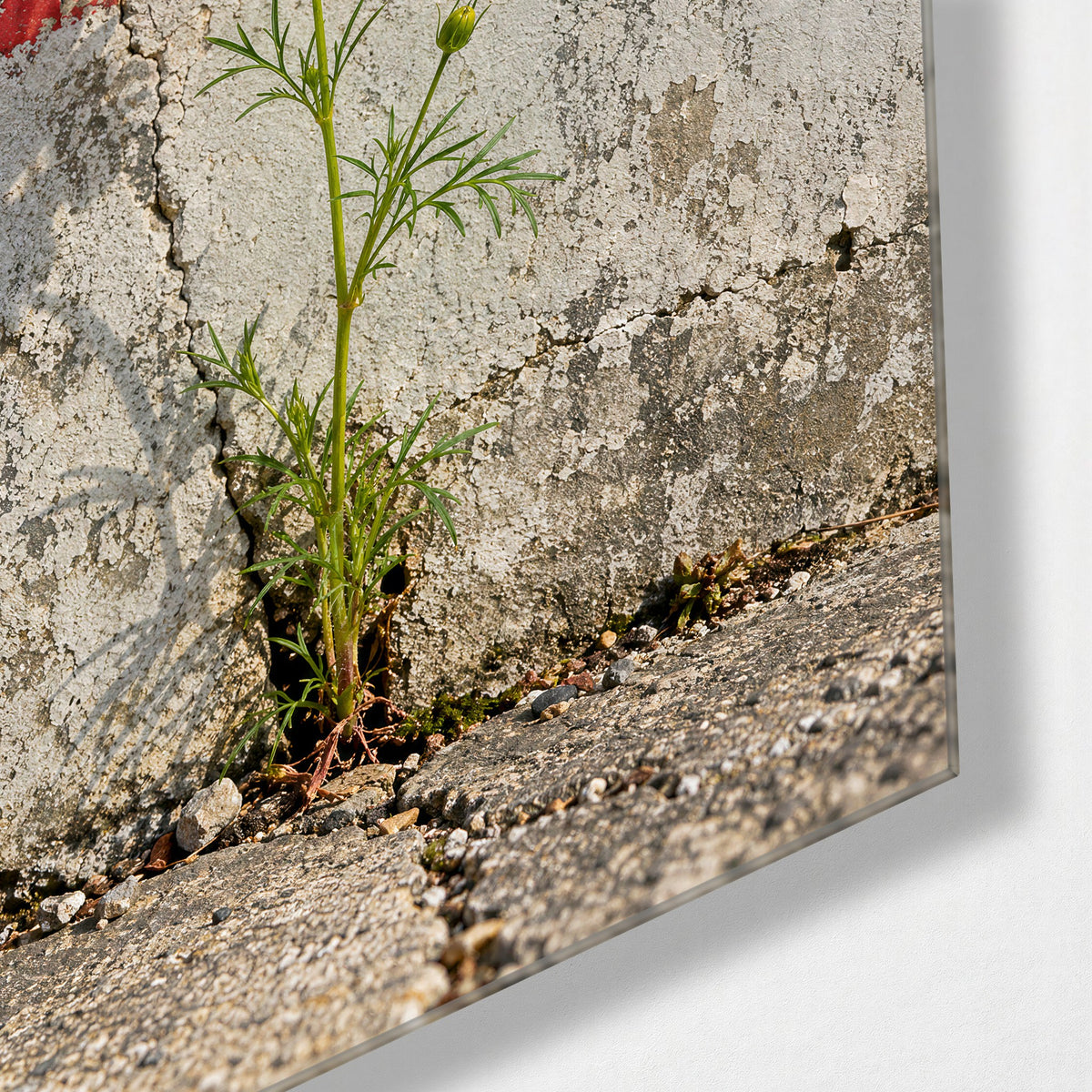One Tough Bloom glass wall art, corner view
