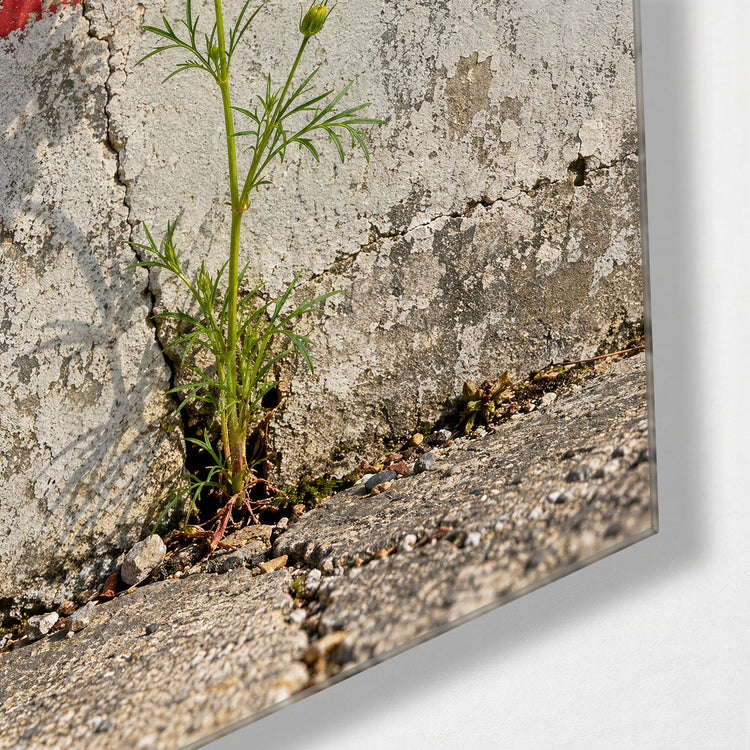 One Tough Bloom glass wall art, corner view