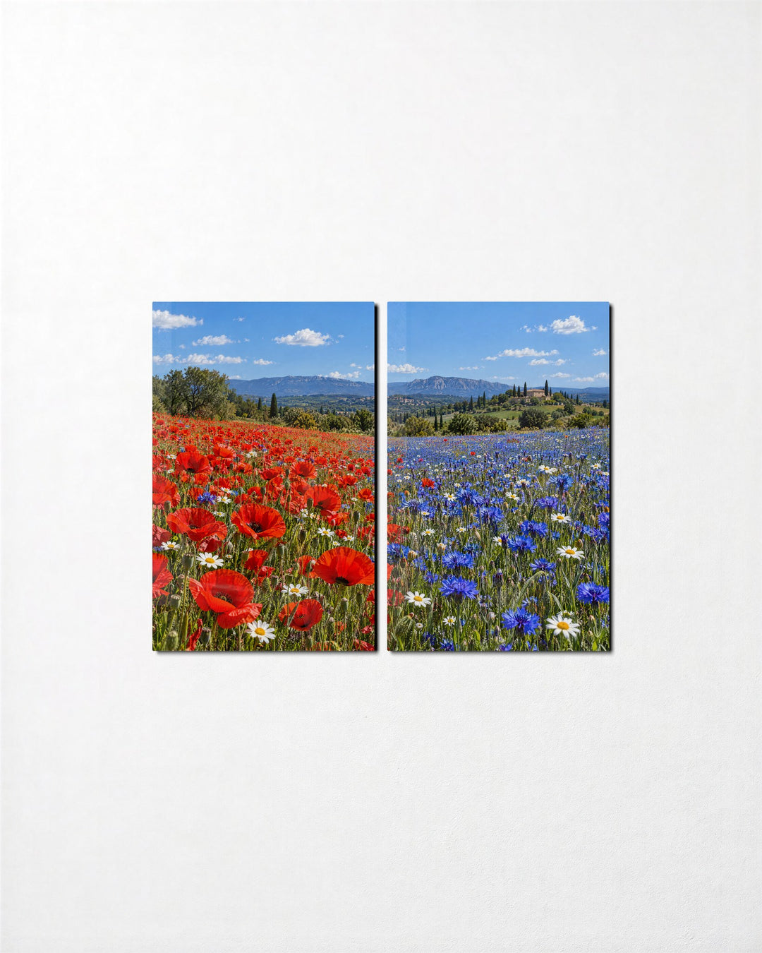 Red Meadow, Blue Meadow glass wall art, set front view