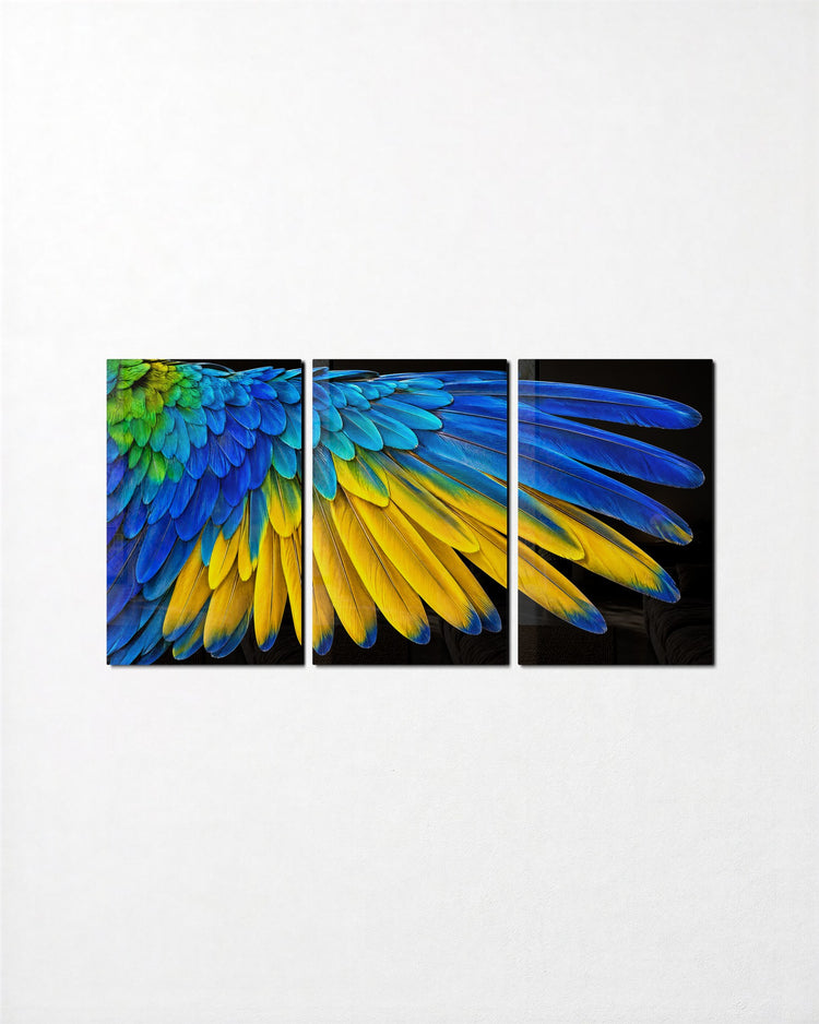 Feathers Fanned in the Dark glass wall art, set front view