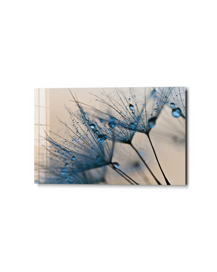Dewdrops on Dandelion Seeds glass wall art, studio view