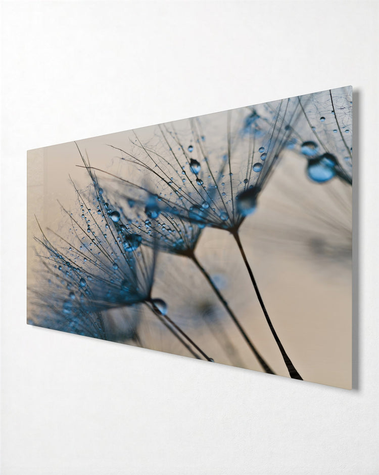 Dewdrops on Dandelion Seeds glass wall art, side view