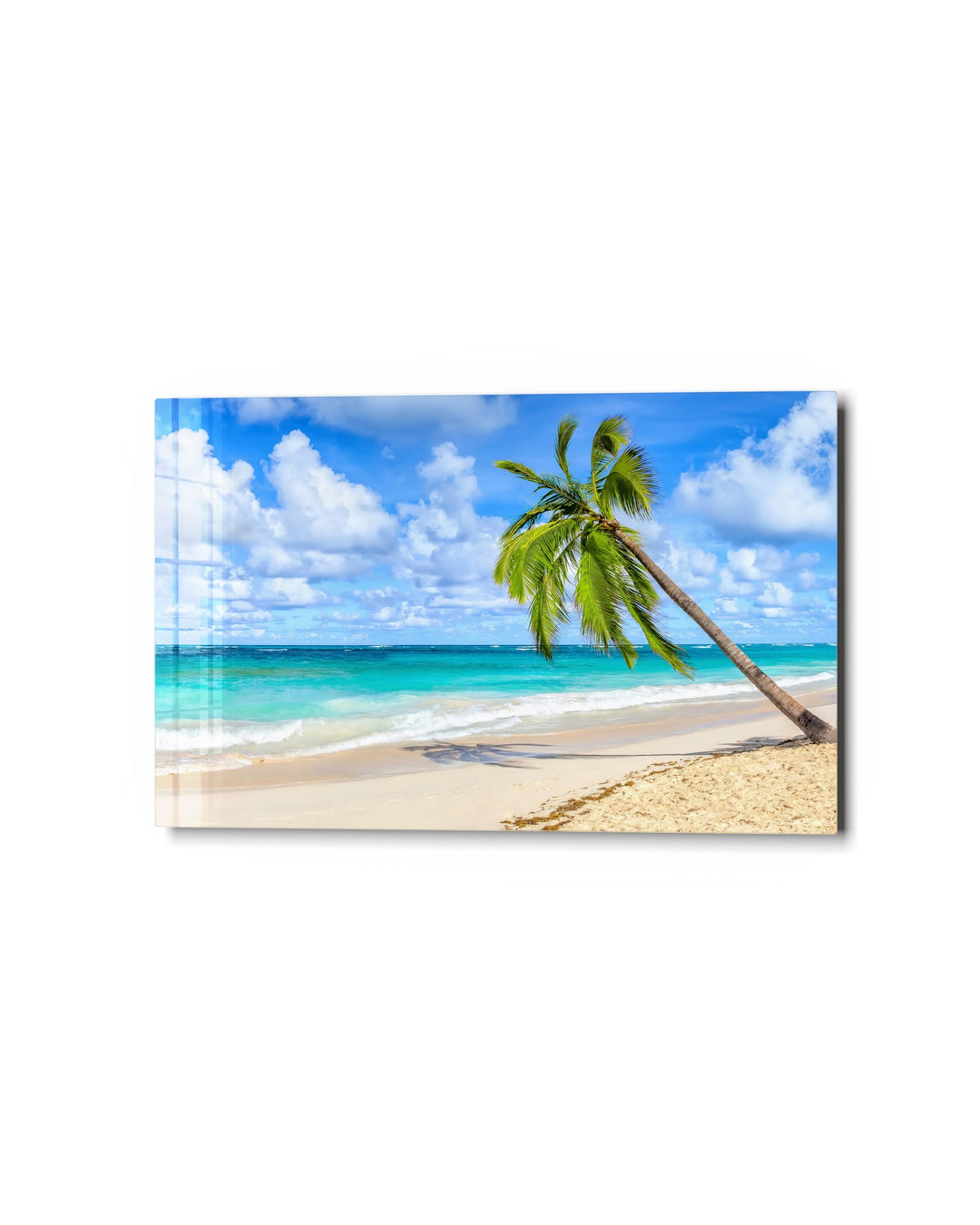 Leaning Palm, Clear Water glass wall art, studio view