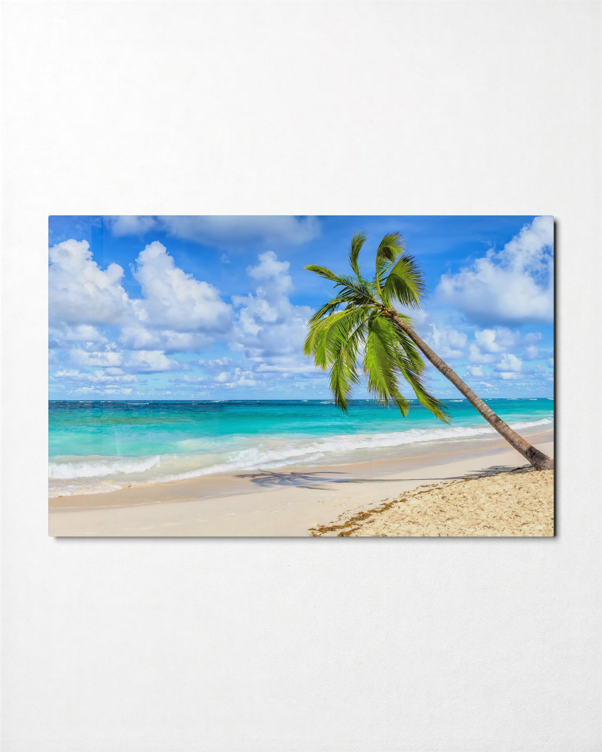Leaning Palm, Clear Water glass wall art, front view