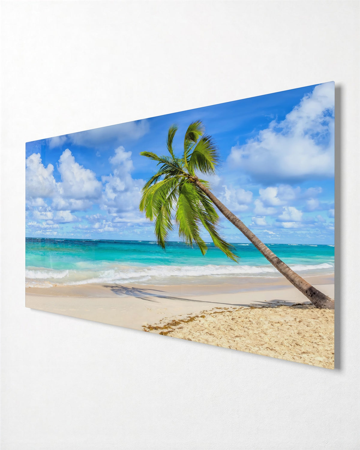 Leaning Palm, Clear Water glass wall art, side view