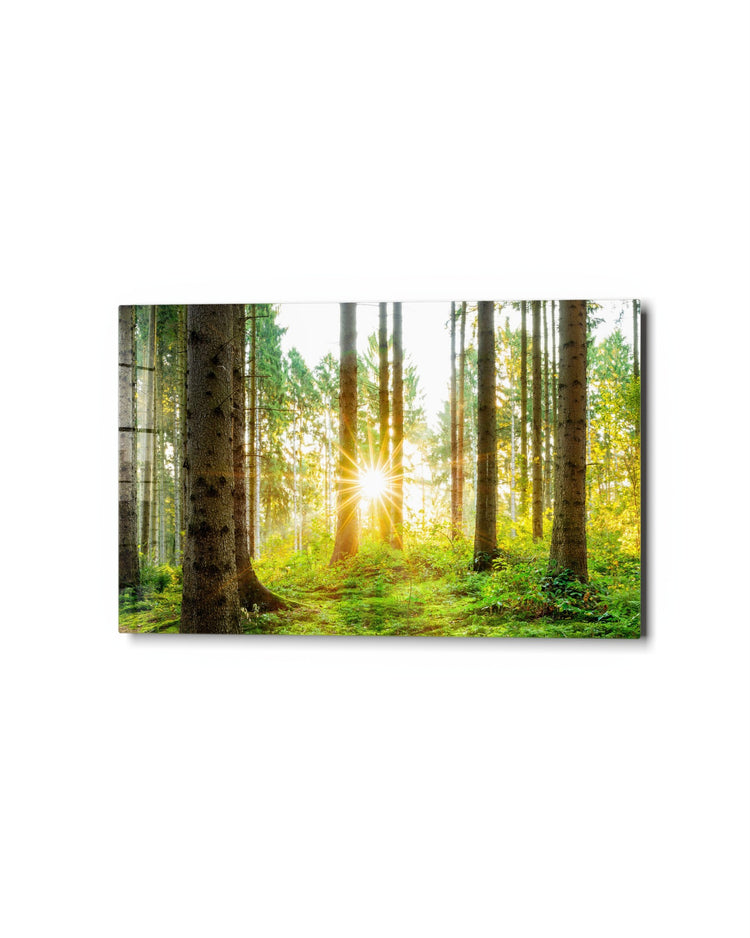 Sunlight Through the Pines glass wall art, studio view