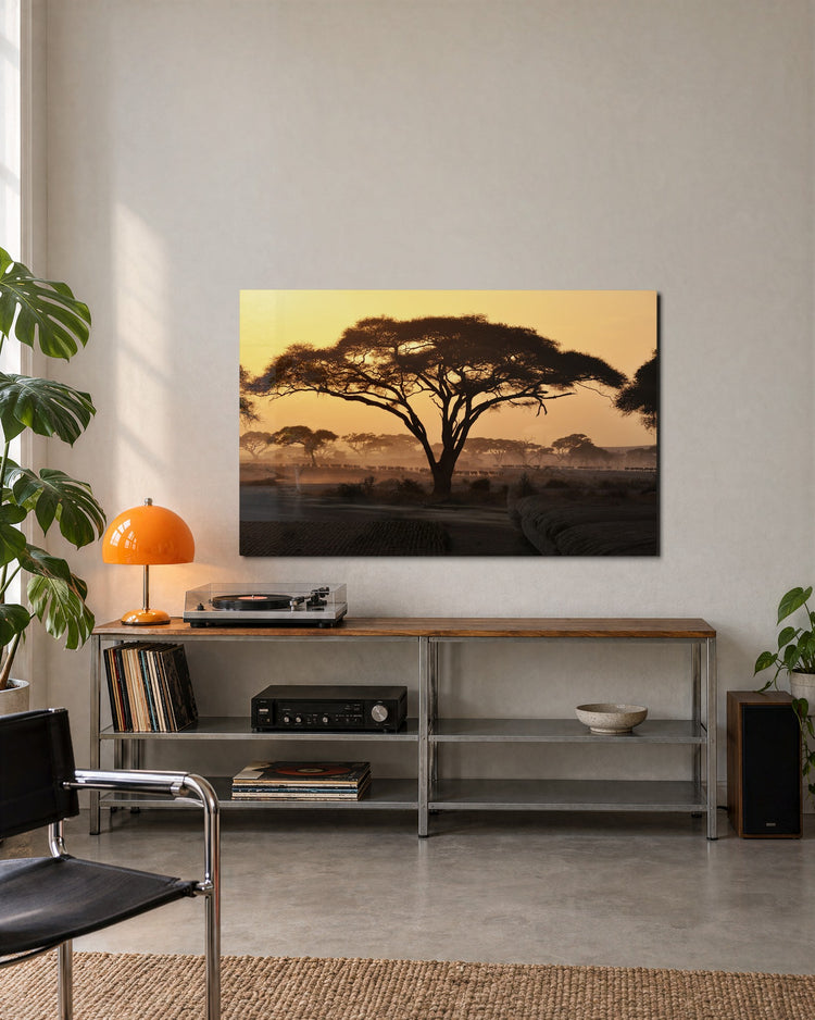 Acacia at Sunrise glass wall art, lifestyle view