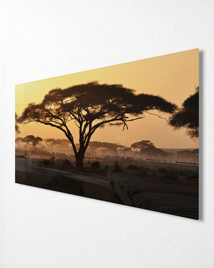 Acacia at Sunrise glass wall art, side view