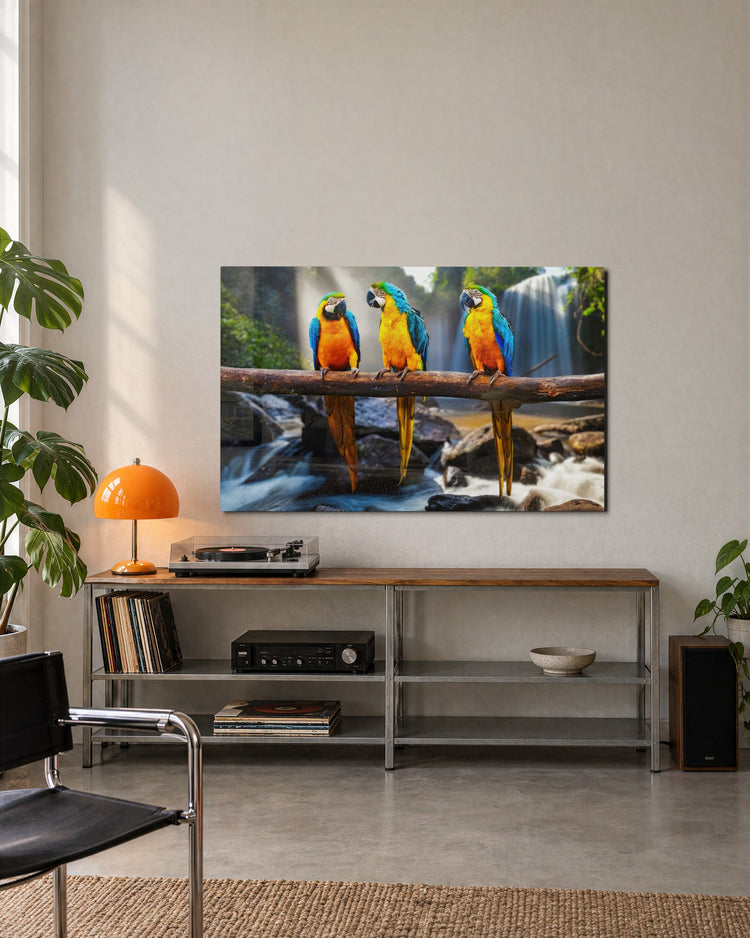 Three Macaws by the Falls glass wall art, lifestyle view
