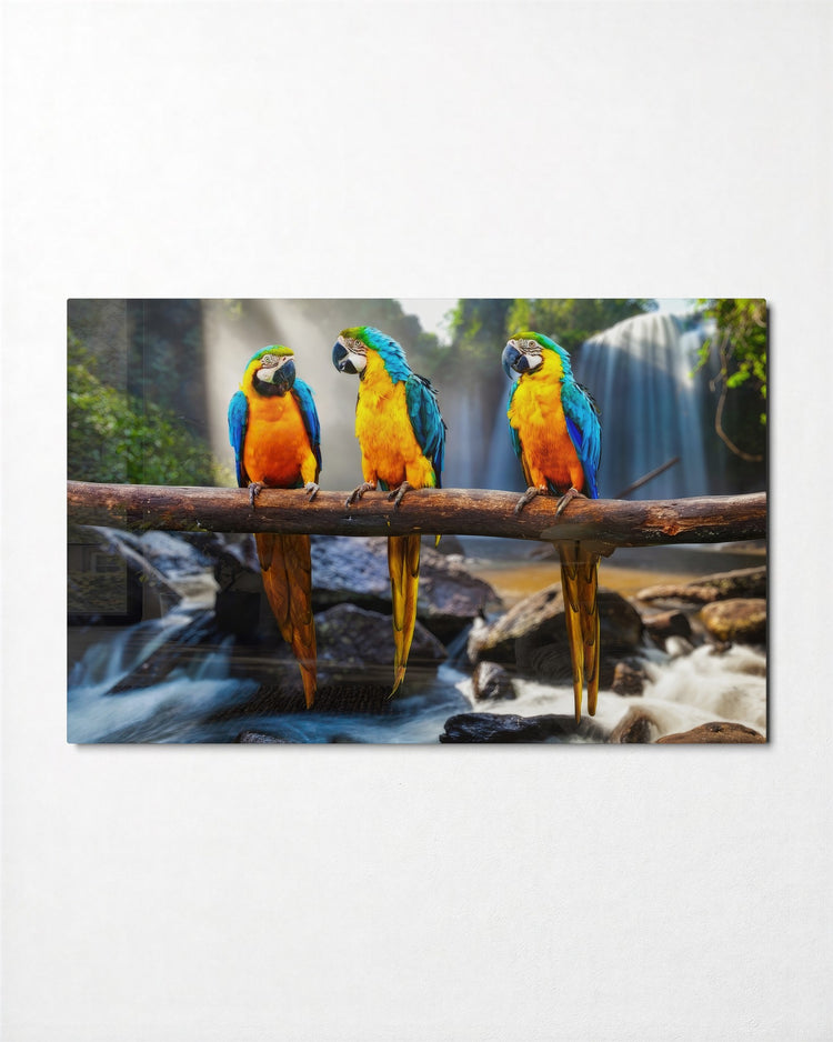 Three Macaws by the Falls glass wall art, front view