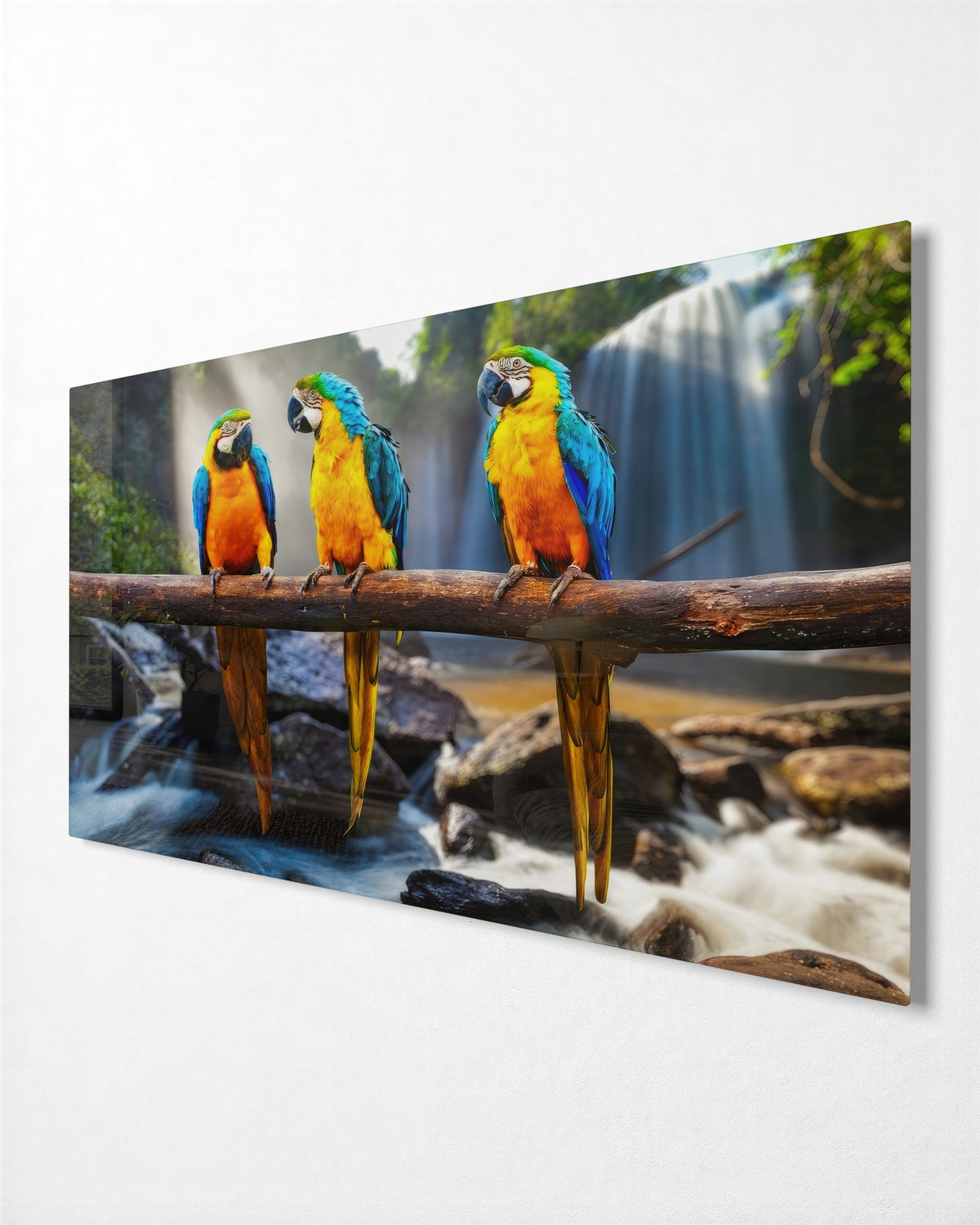 Three Macaws by the Falls glass wall art, side view