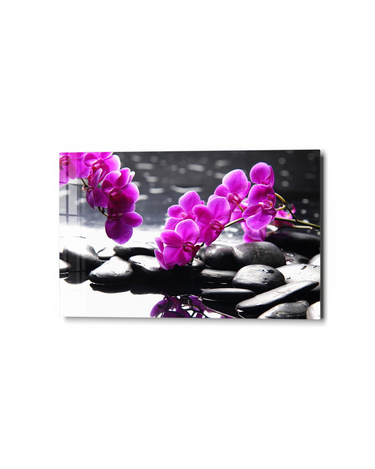Orchids on Black Stones glass wall art, studio view