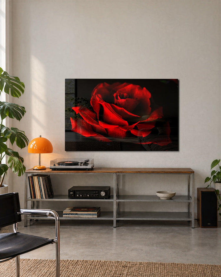 Red Rose in the Dark glass wall art, lifestyle view