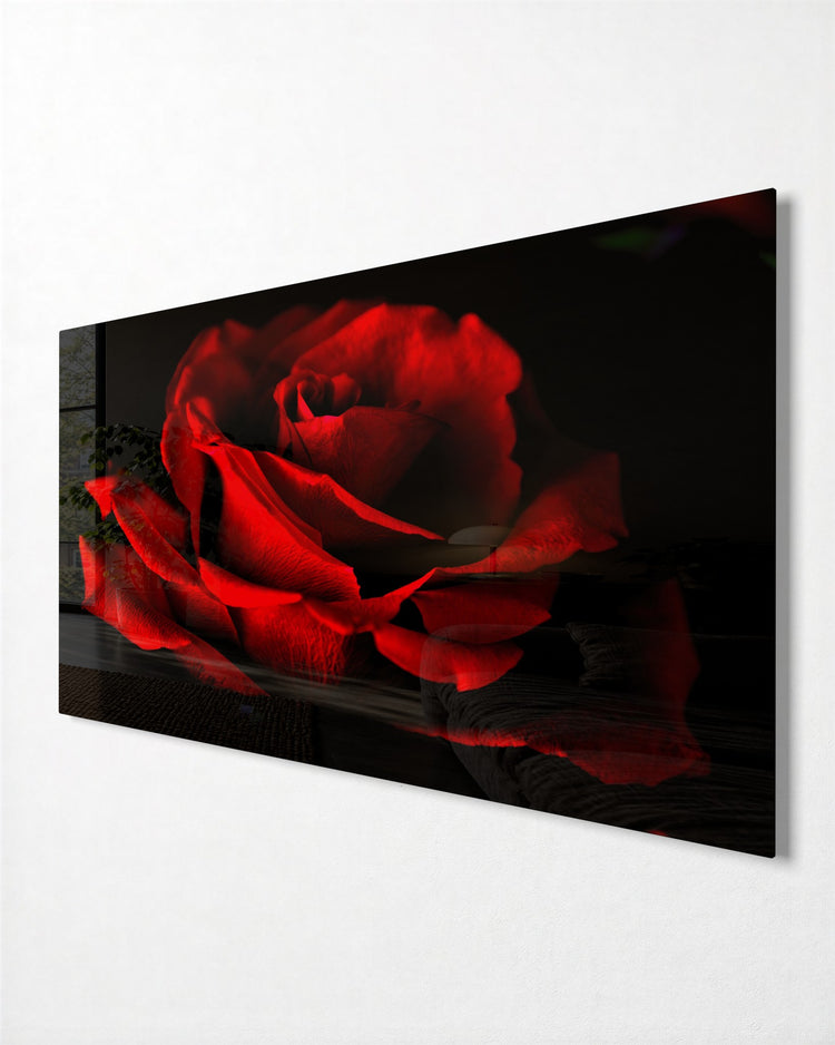 Red Rose in the Dark glass wall art, side view