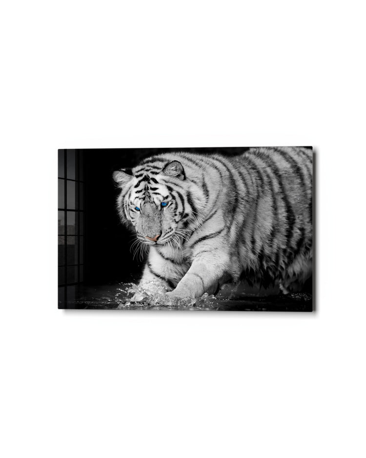 White Tiger in the Water glass wall art, studio view