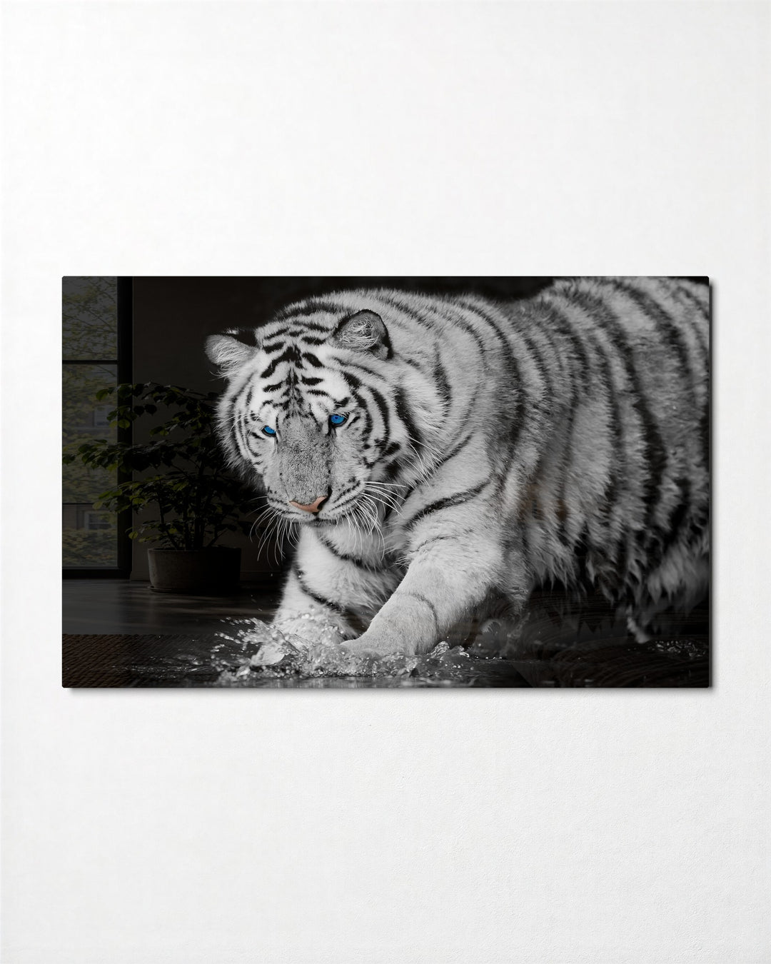 White Tiger in the Water glass wall art, front view