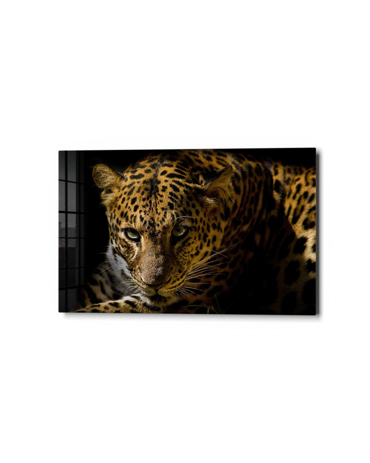 Leopard in the Shadows glass wall art, studio view