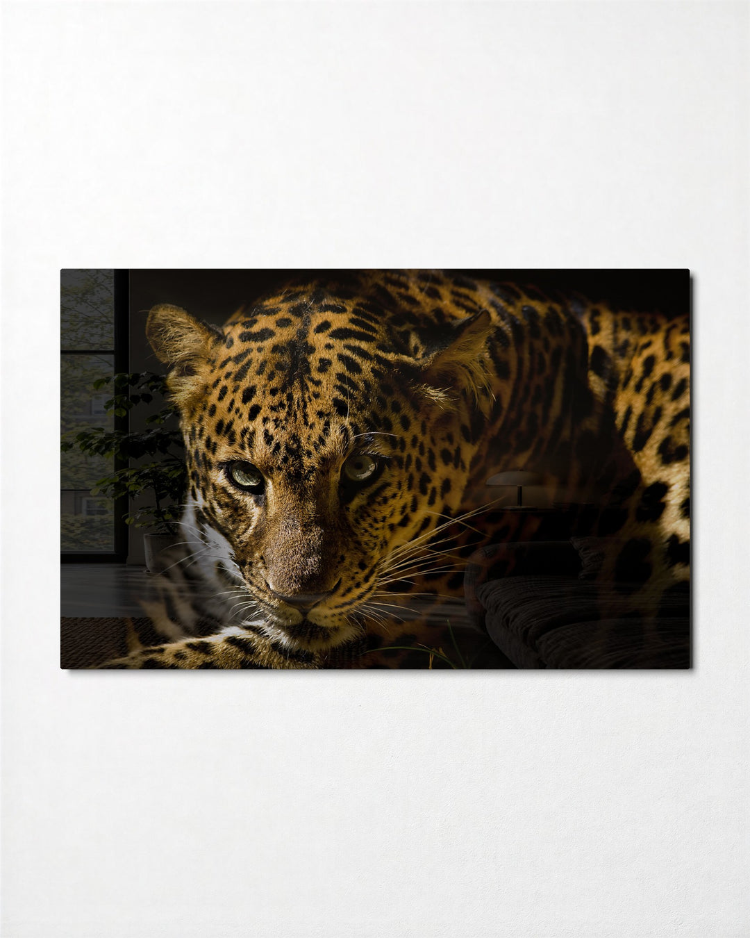 Leopard in the Shadows glass wall art, front view