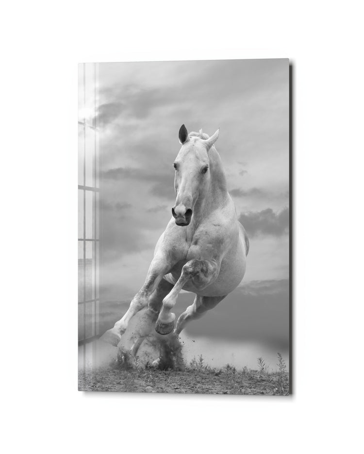 White Horse at Full Gallop glass wall art, studio view