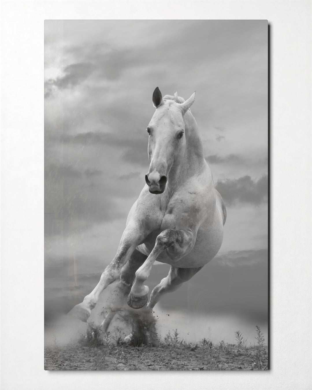 White Horse at Full Gallop glass wall art, front view