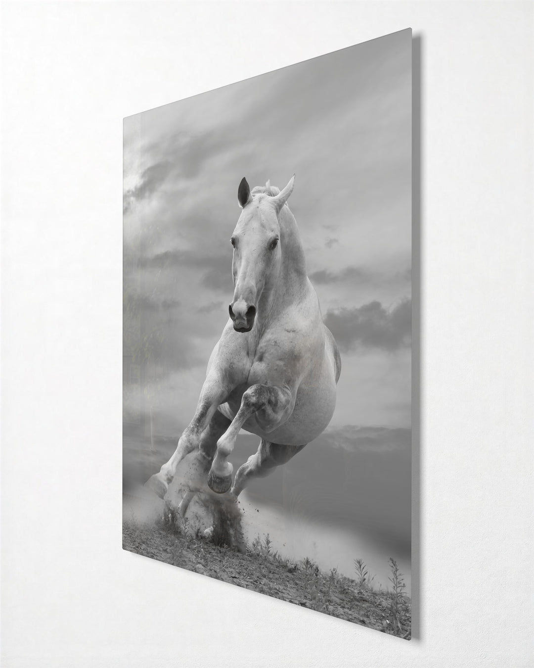 White Horse at Full Gallop glass wall art, side view