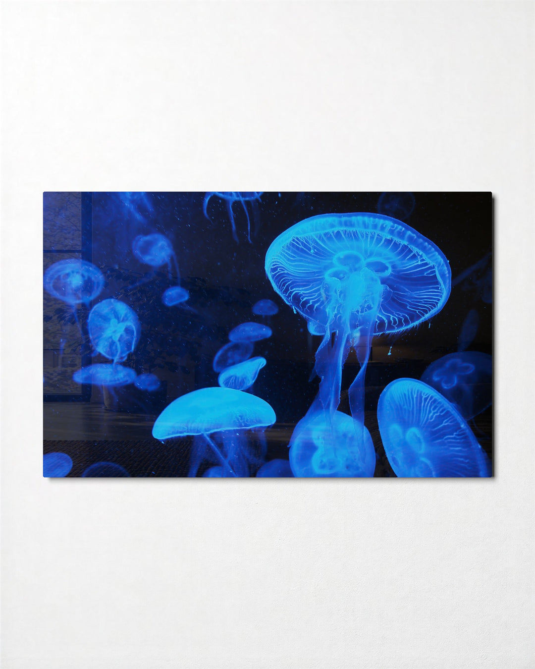 Blue Jellyfish Glow glass wall art, front view