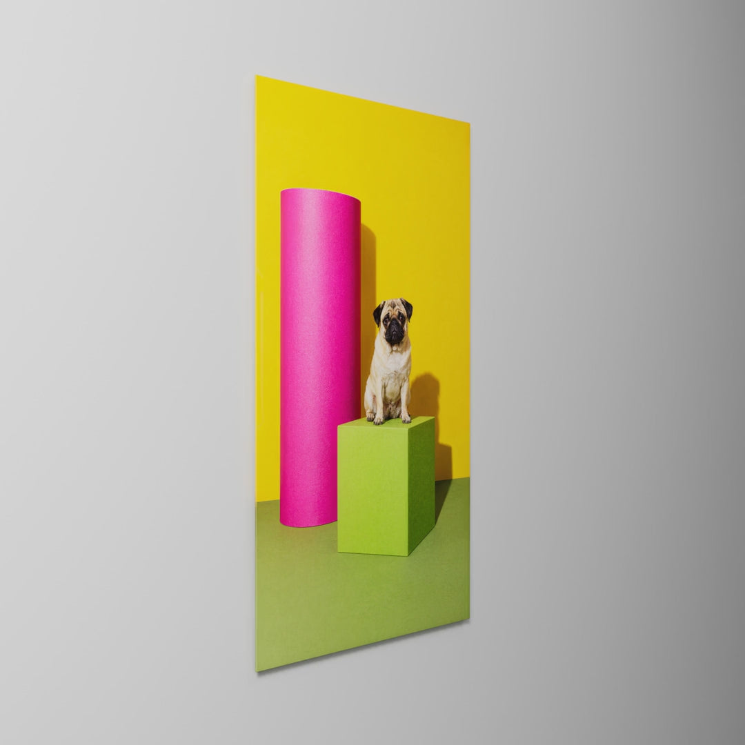 Unimpressed on a Cube, glass wall art on a wall, light moving across the glass