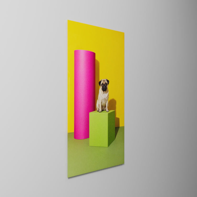 Unimpressed on a Cube, glass wall art on a wall, light moving across the glass