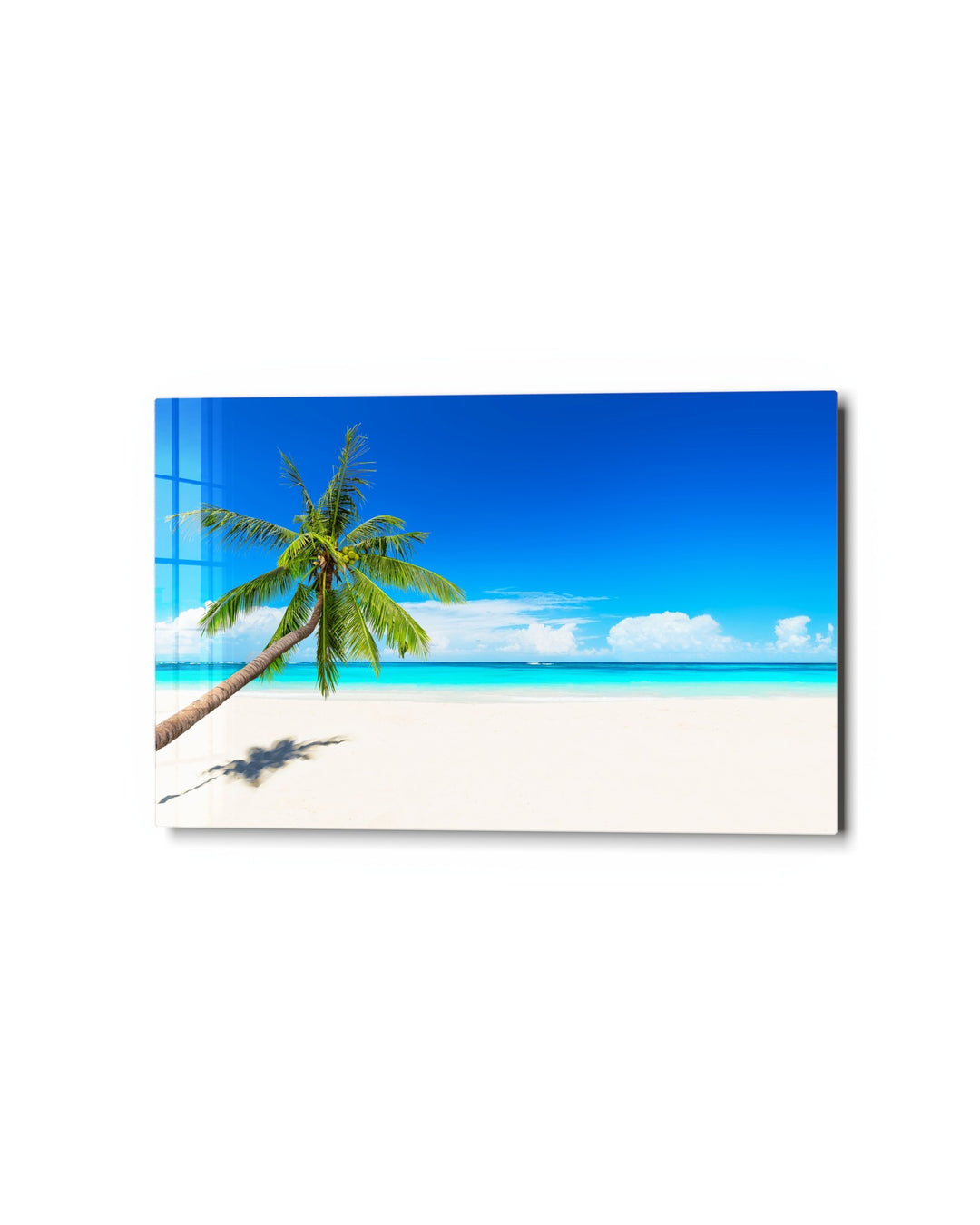 Palm Leaning Over the Sand glass wall art, studio view