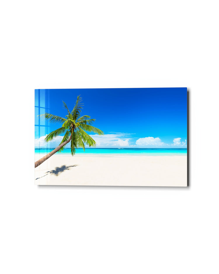 Palm Leaning Over the Sand glass wall art, studio view