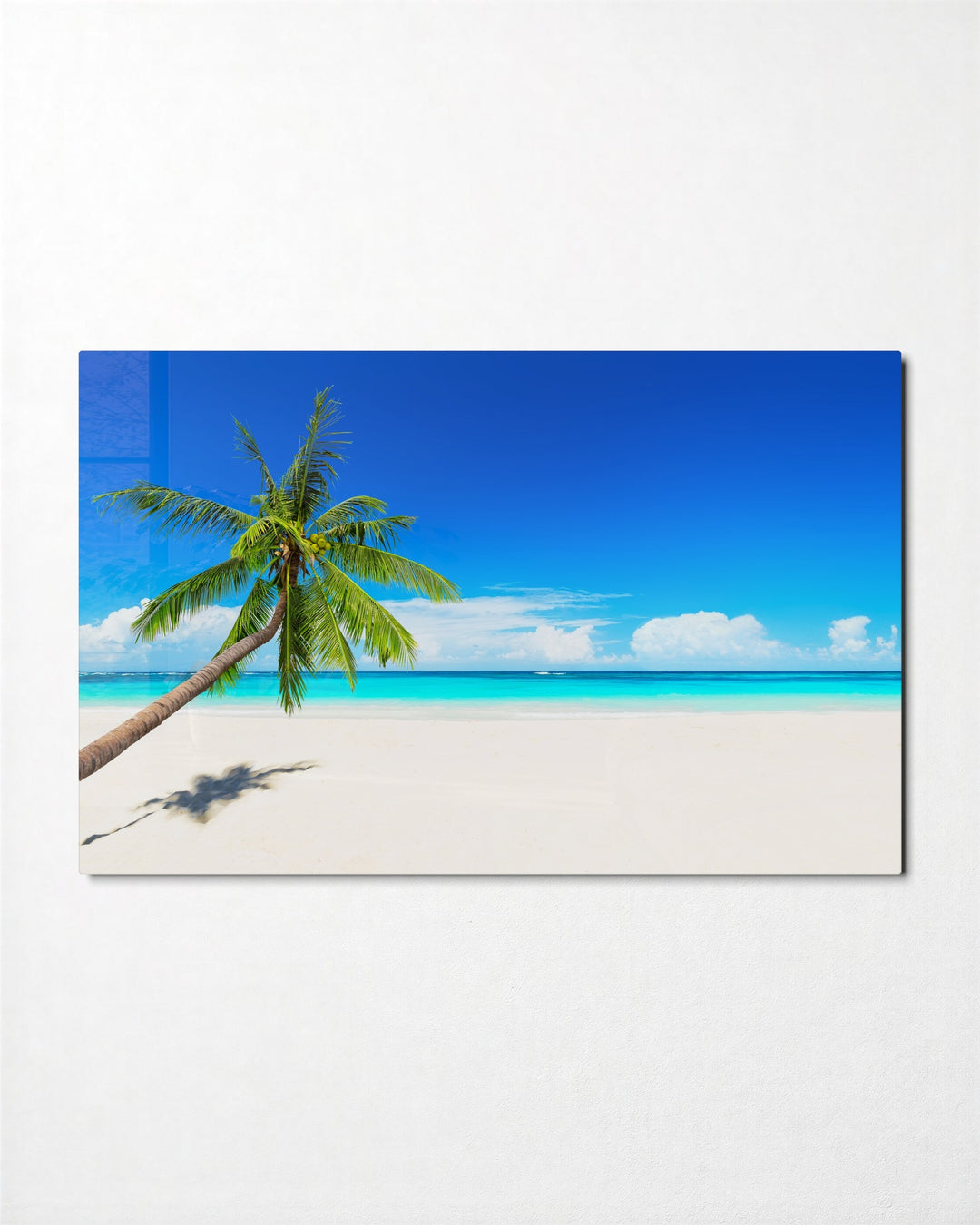 Palm Leaning Over the Sand glass wall art, front view