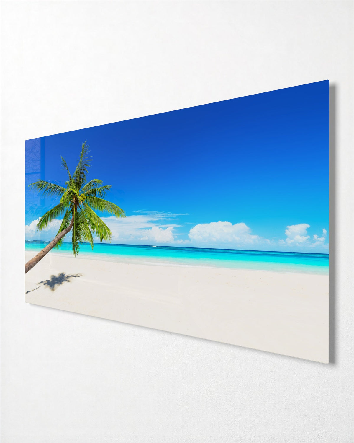 Palm Leaning Over the Sand glass wall art, side view
