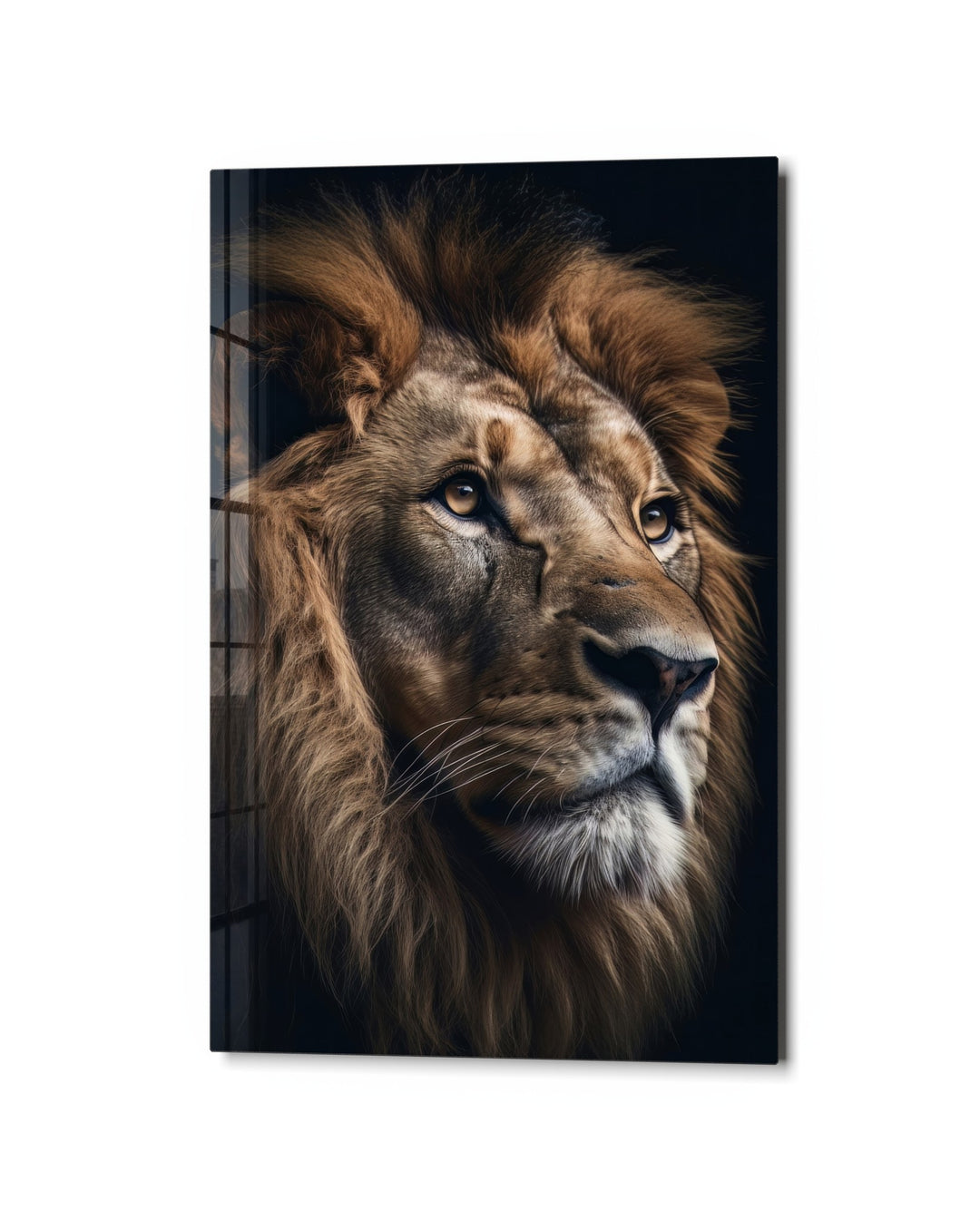 Lion Portrait in Shadow glass wall art, studio view