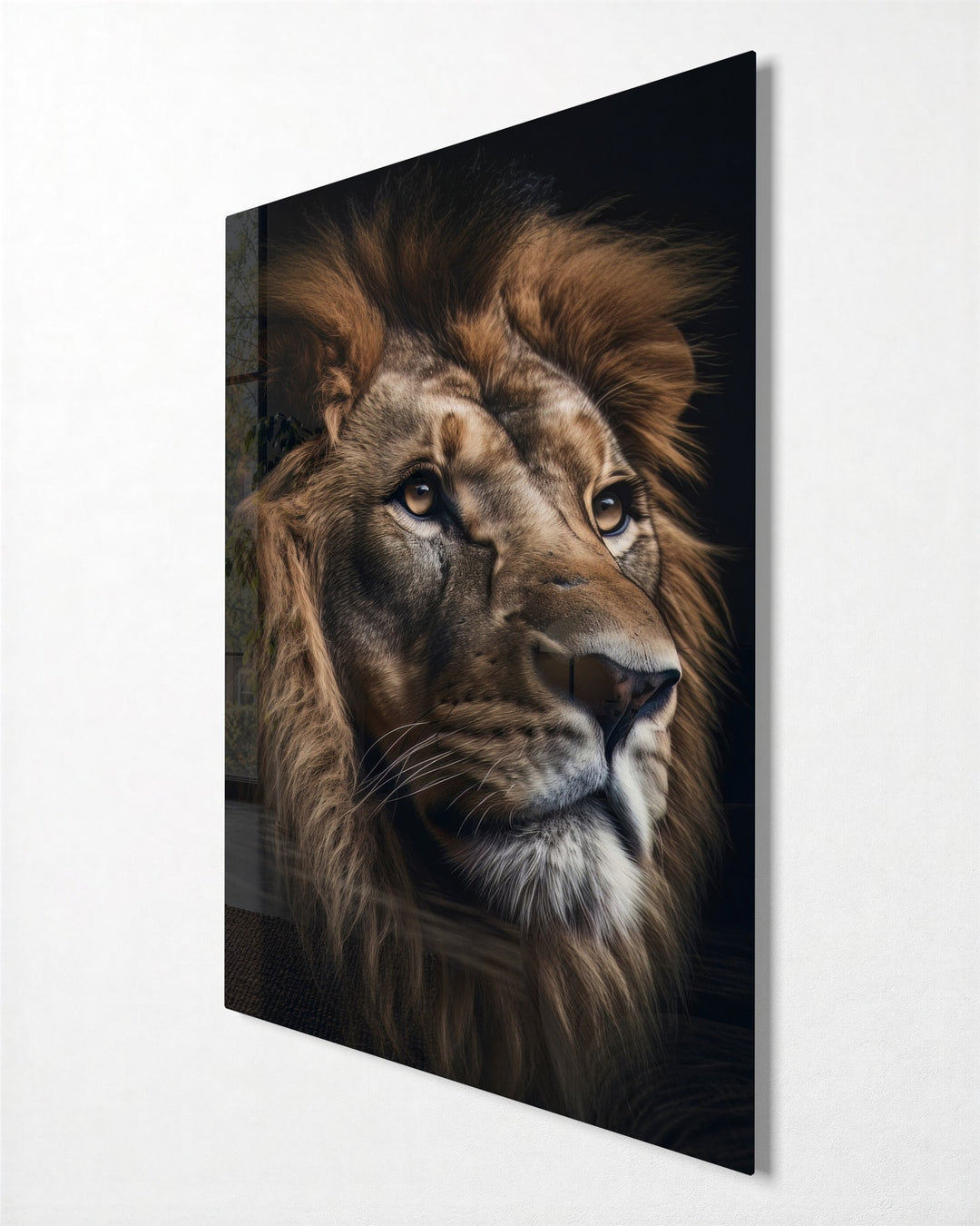 Lion Portrait in Shadow glass wall art, side view