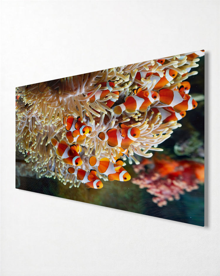 Clownfish in the Anemone glass wall art, side view